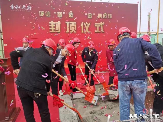 千年乌木被暂扣，常见菩提子图鉴（3000年生生不息的争端在这里完美终结）