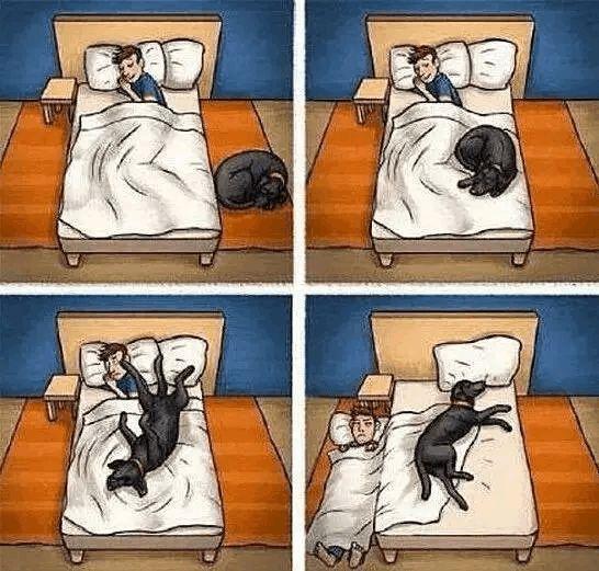 打狗狗会记仇吗，打了狗狗后狗狗会记仇吗（如果你家狗狗有这5种特性）