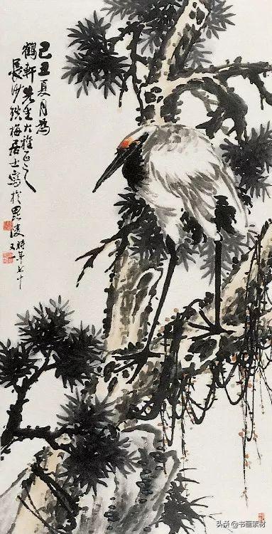 海派的真正代表，海派的代表人物有哪些（中国花鸟画海派代表十九位名家）