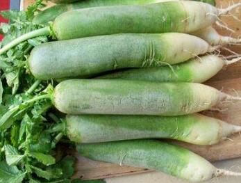 幾種比較適合冬天吃的蔬菜 價(jià)錢便宜 還營養(yǎng)豐富-起舞食譜網(wǎng)