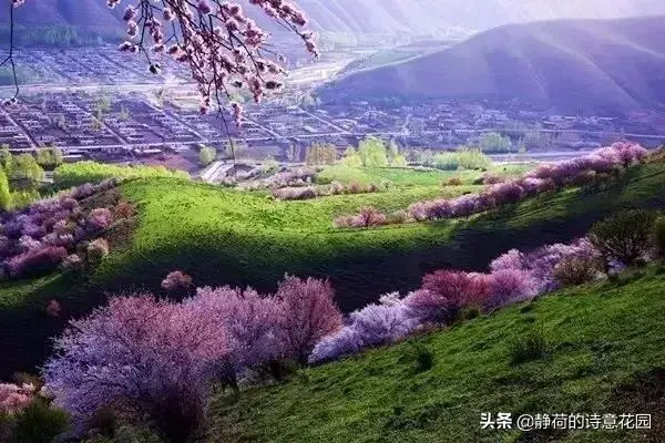关于春天的诗歌，写给春天的诗歌仿写三年级（隔屏都感觉到了盎然生机与活力）