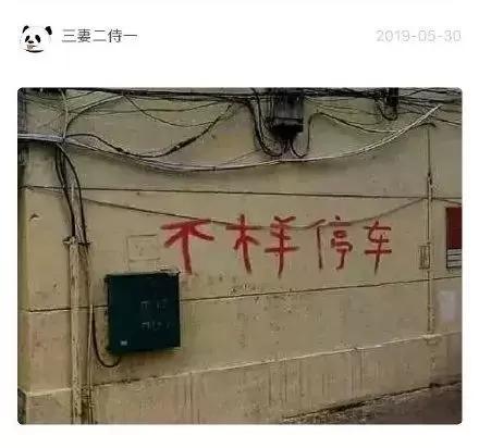 东北话方言句子，东北话十级经典语录（笑的我室友过来捶我）