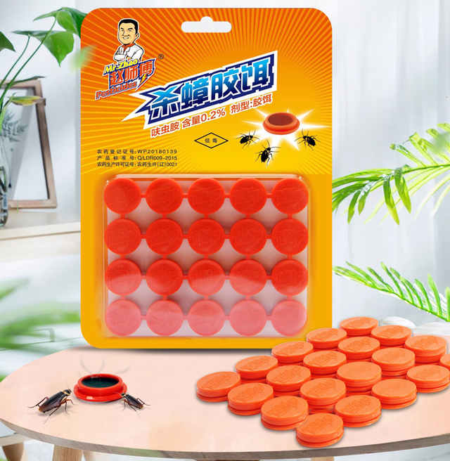 厨房有蟑螂怎么办，家里厨房有蟑螂怎么能根除（蟑螂家族连根拔起）