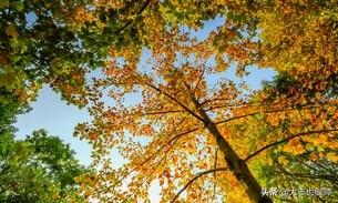 高邮属于哪个市，高邮市属于哪个市（\