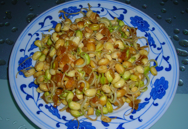豆子泡水里，湿毛巾捂一捂，5天长出芽苗菜