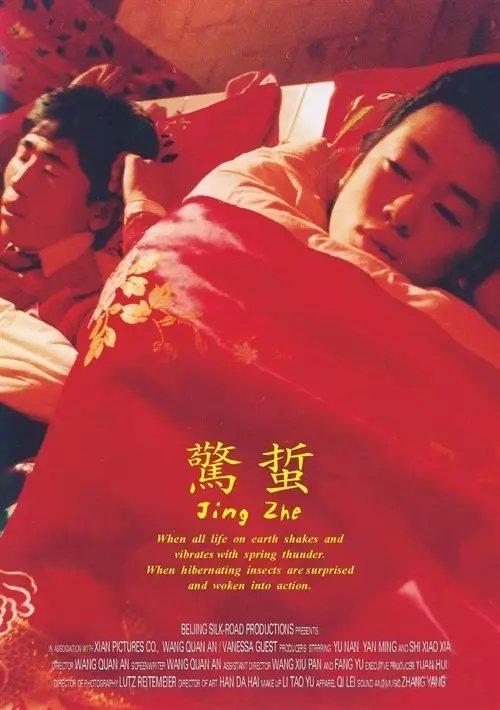 2009年，王全安与相恋十年的余男分手，转身便与张雨绮拍了部好戏