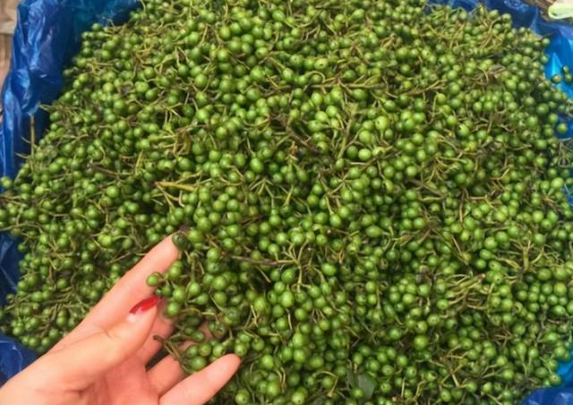 木姜子哪些人不能吃，木姜子能吃吗（“宝藏植物”木姜子）