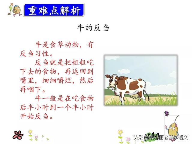 咱的组词，咱的组词和部首（统编版三年级语文上册第10课《在牛肚子里旅行》知识点+图文解读）