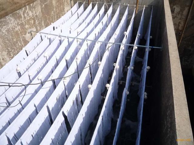 石灰石是什么，石灰石是什么物质（石灰石主要成分有哪些）