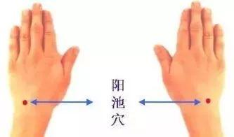 阳池的简易找法，阳池艾灸（搞懂了人体“三焦”）