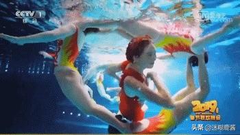 plgg什么意思，piggy什么意思（承包你新年一天所有的笑点）