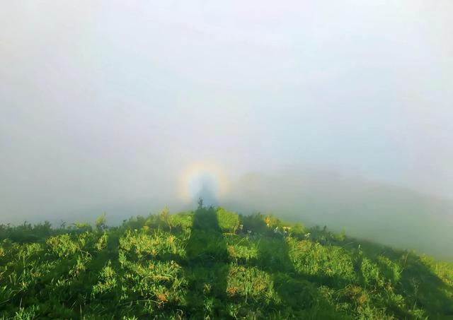 贵州必去十大景点，贵州旅游必去十大景点推荐（贵州旅行可去的十大景点）