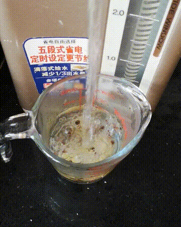 怎么做胡萝卜馅饼!，从揉面到调馅我都调整多次的最终配方