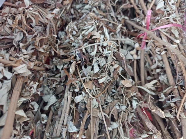 牛奶根不能和什么一起炖汤，牛奶根可以煮水喝吗（乡下3种常见的野生植物）