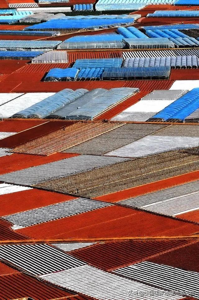 攀枝花是哪个省的城市，西部区（“四川特区”攀枝花）