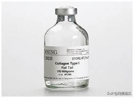 耗子尾汁是什么意思，不讲武德耗子尾汁是什么意思（耗子的尾巴真的能榨汁吗）