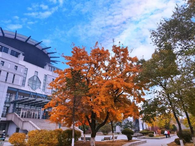 辽宁科技大学宿舍，2021年辽宁科技大学新生宿舍条件图片环境怎么样（<十五>辽宁科技大学）