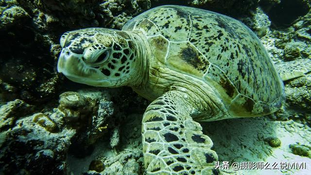 梦幻天堂游戏手机版下载，梦幻天堂经营手游官网最新版下载安装安卓版appv45.0.2（我才明白什么叫做梦幻天堂）