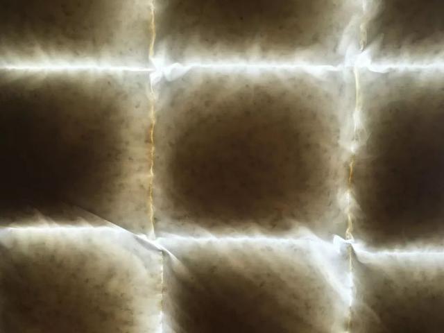 驼毛被子的优缺点，驼绒好还是羽绒被好_驼绒和羽绒被哪个好（五种常见材质被芯全方位对比）