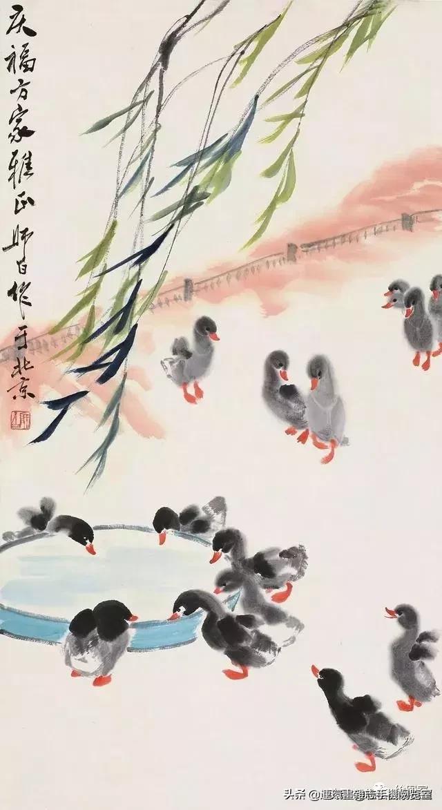 怎么画鸭子,今天星期二考试考个鸭蛋怎么画鸭子(娄师白教你画鸭子) 怎么画鸭子,今天星期二考试考个鸭蛋怎么画鸭子(娄师白教你画鸭子)