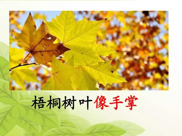 汉字松的组词，松的组词（部编版二年级语文上册识字2《树》知识点+图文解读）