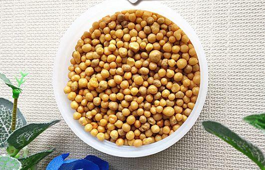 吊兰怎么养才能更旺盛，吊兰叶子尖发黄干枯什么原因（敲个鸡蛋埋土里）