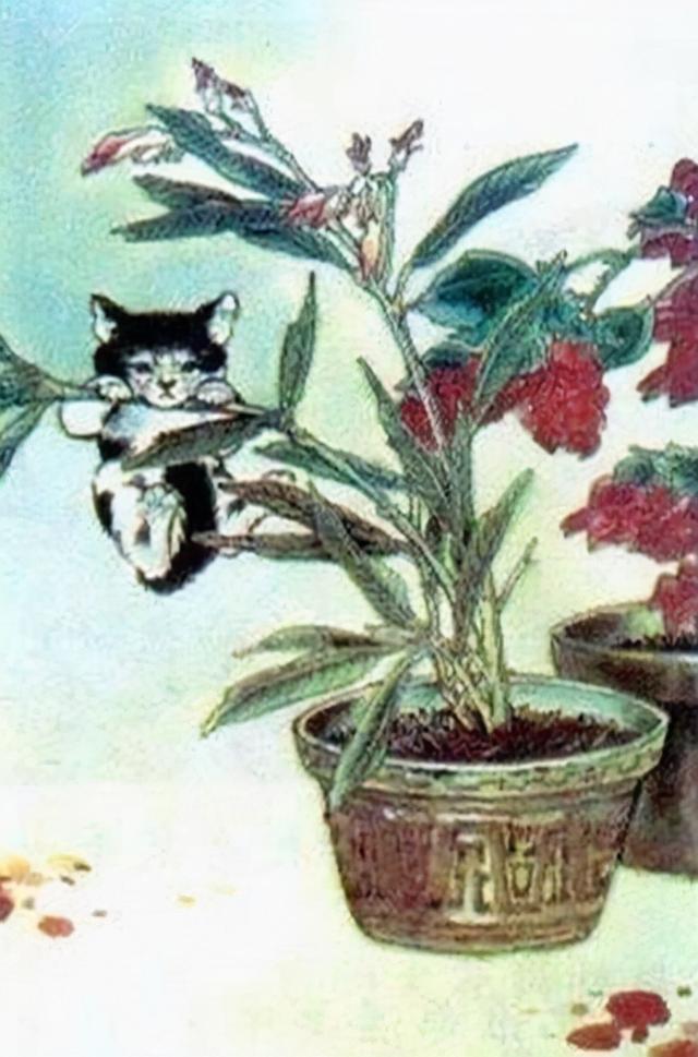 小狗画梅花小猫画什么，小狗画梅花,还有什么画什么（曾经的小学语文插图你还记得几张）