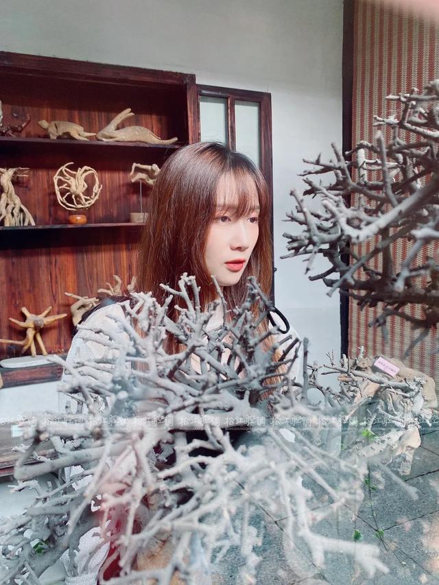 松江区景点，松江区景点排名（你只知道方塔、醉白池、辰山植物园）