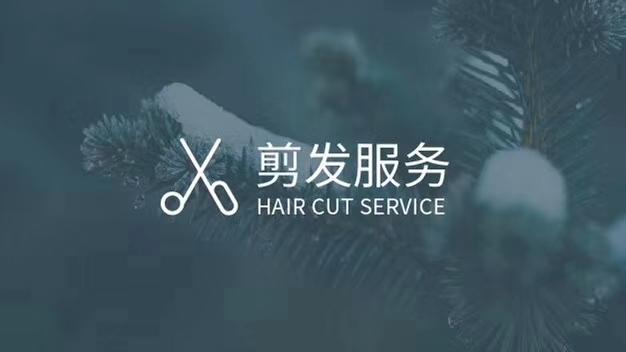 鹅蛋脸型适合什么发型，鹅蛋脸的女生什么发型好看（发型与脸型的搭配设计）