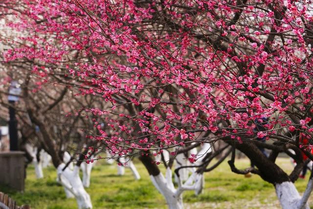 杭州必去的景点，杭州旅游必去景点推荐（杭州旅游十大必去打卡景点）