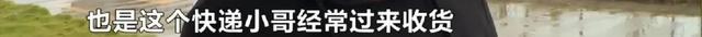 汇通快递运单号查询，香港汇通快递查询（长沙百世快递分部查明原因）