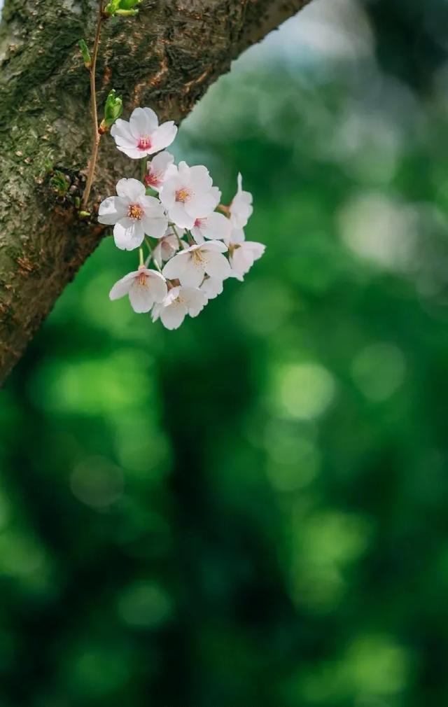 青岛景点排名一览表，青岛旅游景点大全（青岛旅游景点大全排名）
