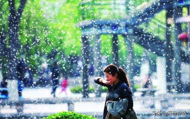 惟解漫天作雪飞上一句，惟解漫天作雪飞上一句是什么（杨花榆荚无才思）