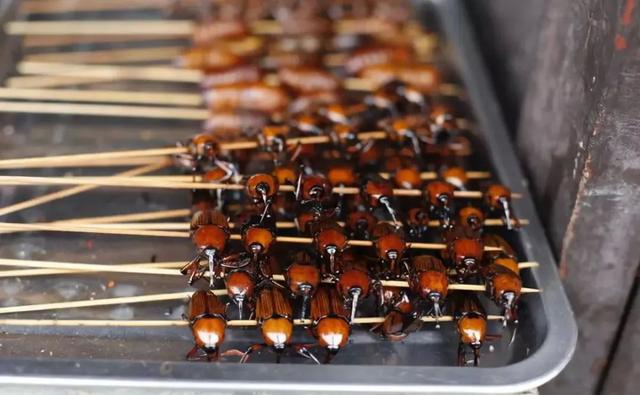 吃竹子的虫子叫什么-简短介绍，一种吃竹子的虫子是什么东西（这种害虫对竹子危害极大）