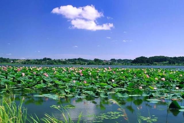 湖北省黄冈的区号是多少，黄冈地区的区号是多少（湖北这5个地方被国家看上）