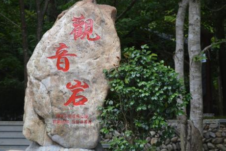 我国最大的佛像是，我国最大的佛像是哪一座（我国发现世界最大的天然佛像）