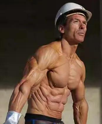 脂肪率是什么意思，体脂肪率是什么（体脂率-及脂肪相关知识）