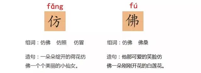 小莲蓬的拼音,的读音是什么(部编版三年级下册 3《荷花》) 小莲蓬的拼音,的读音是什么(部编版三年级下册 3《荷花》)