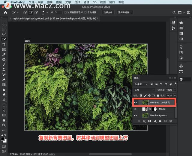 ps工作区隐藏了怎么办，Photoshop工作区面板不见了怎么办（初学者教程如何在图片中创建新背景）