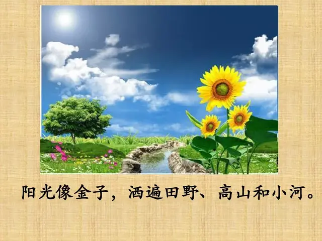 纯洁的反义词，轻盈光滑高傲纯洁的反义词（部编版一年级下册《语文园地二》+和大人一起读《阳光》知识点）