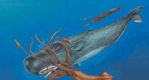 深海巨兽对决：大王酸浆鱿与大王乌贼的终极较量，谁才是真正的深海霸主？