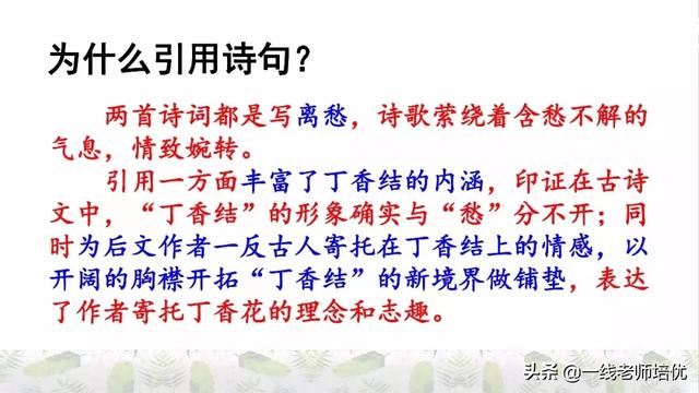 平淡无味的意思，清淡无味的意思（部编版六年级上册第2课《丁香结》重点知识点+图文解读）