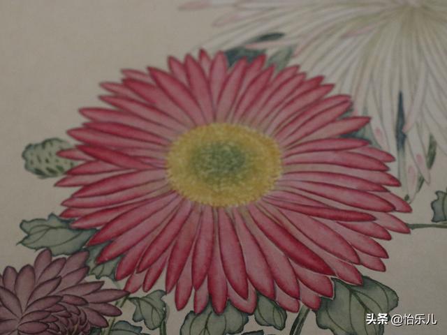 葩的读音（葩怎么读，葩是什么意思（金佛座、搓粉妆、绶带紫、鹤头丹）