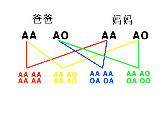 父母血型与子女关系图，让你看懂父母与子女血型的关系