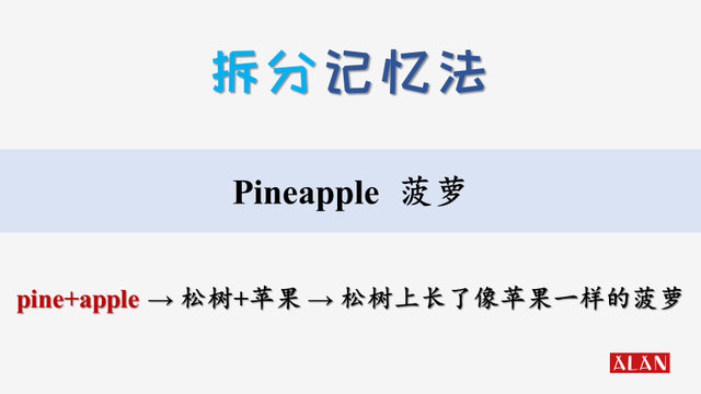 necklace是什么意思（拆分记忆法让你效率更高）