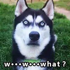 gdr是什么意思，股票出现gdr是什么意思（认不全这些字母）