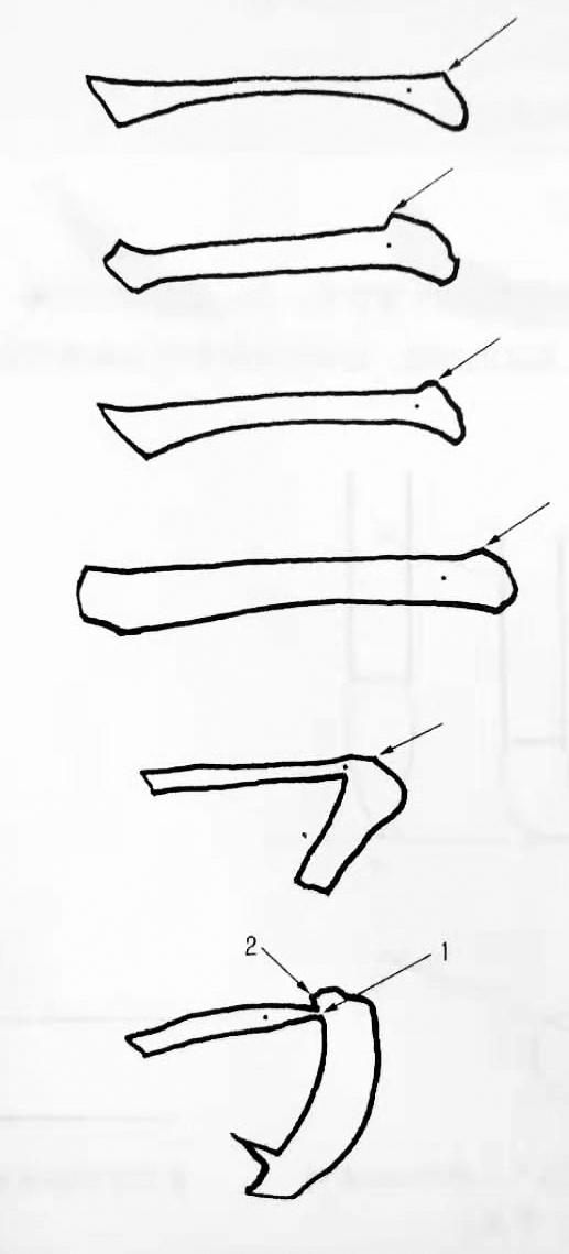 书法基础知识笔法，央美书法教授：书法入门很简单