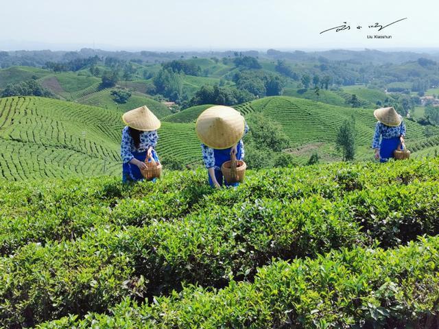 河南是南方吗（河南省唯一的“南方城市”）