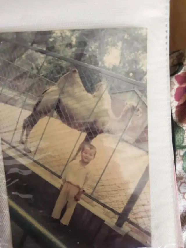 游戏cp名字两人搞怪，游戏cp名字一对（你们情侣之间有好玩的外号或者昵称吗）