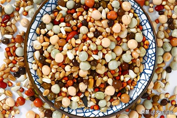 鸽子的养殖方法，鸽子的养殖方法和注意事项（新手养鸽子必看方法）